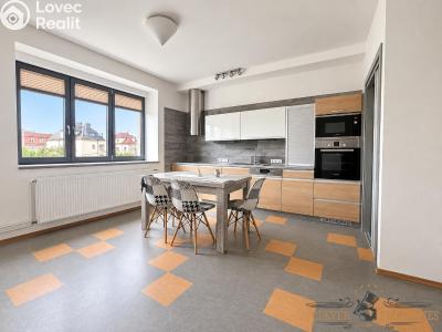 Rent apartment 3+KK Hradec Králové, Albertova č. 1