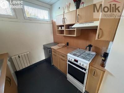 Pronájem rodinného domu Chudeřín, Janáčkova 314 č. 17