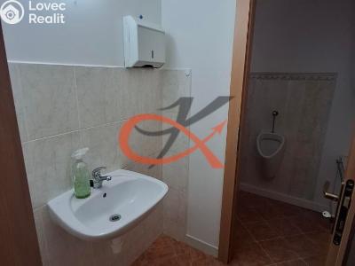 Pronájem kanceláře Lipník nad Bečvou, Losertova č. 8