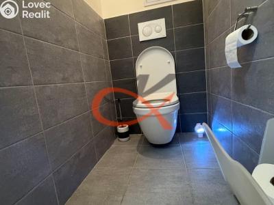 Rent apartment 2+KK Šternberk, Světlov č. 9