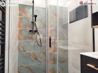 Rent apartment 2+1 Karlovy Vary, K. Čapka č. 18