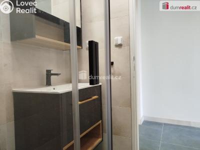 Rent apartment 2+1 Karlovy Vary, K. Čapka č. 19