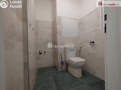 Rent apartment 2+1 Karlovy Vary, K. Čapka č. 20