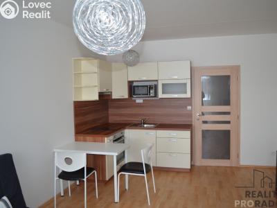 Pronájem bytu 1+KK Velká Bíteš, Za Uličkami 687 č. 1