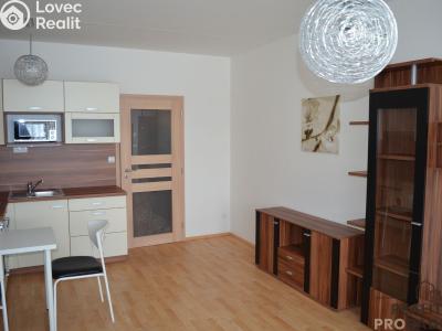 Pronájem bytu 1+KK Velká Bíteš, Za Uličkami 687 č. 4
