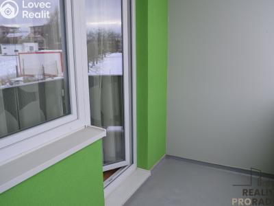 Pronájem bytu 1+KK Velká Bíteš, Za Uličkami 687 č. 11