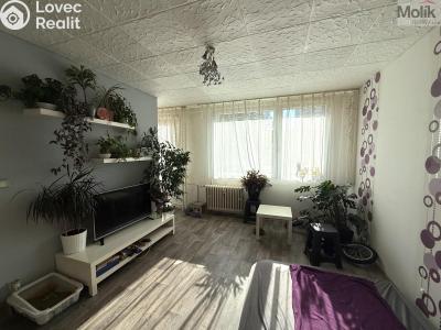 Rent apartment 1+1 Most, K. H. Borovského č. 2