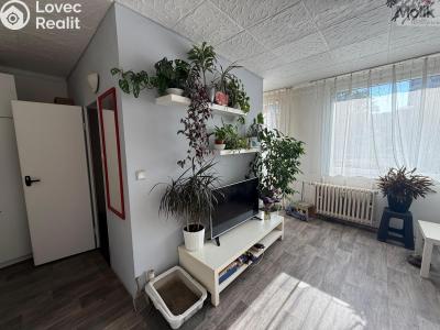 Rent apartment 1+1 Most, K. H. Borovského č. 3
