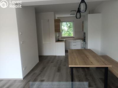 Rent family house Praha č. 13