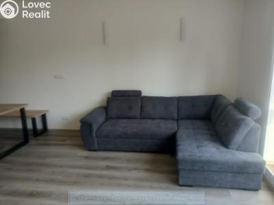 Rent family house Praha č. 15