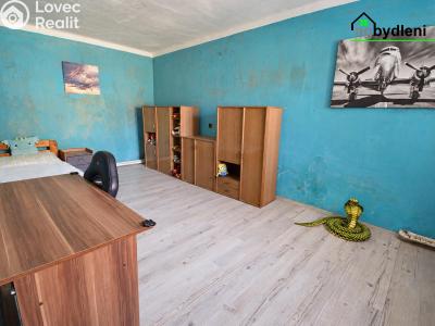 Продаж сімейного будинку Blížejov č. 10