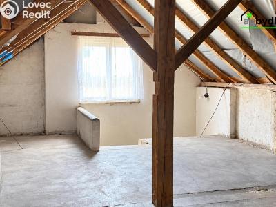 Продаж сімейного будинку Blížejov č. 16