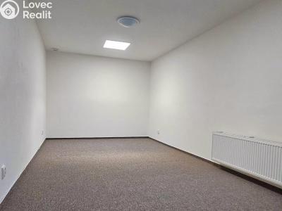 Pronájem atypického bytu Rokycany č. 3