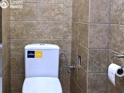 Pronájem atypického bytu Rokycany č. 5