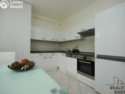 Pronájem bytu 3+1 Drnholec, Hrušovanská č. 7