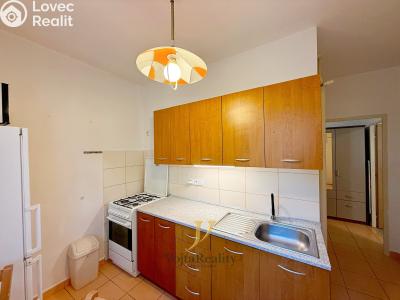 Rent apartment 1+1 Olomouc, V hlinkách č. 4