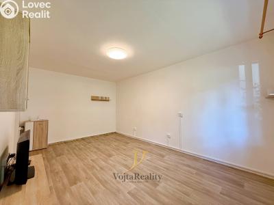 Rent apartment 1+1 Olomouc, V hlinkách č. 5