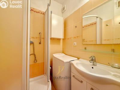 Rent apartment 1+1 Olomouc, V hlinkách č. 6