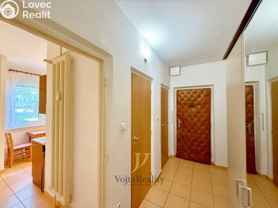 Rent apartment 1+1 Olomouc, V hlinkách č. 8