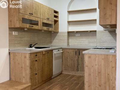 Rent apartment 3+KK Pardubice, Kyjevská 429 č. 2