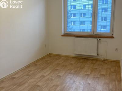 Rent apartment 3+KK Pardubice, Kyjevská 429 č. 12