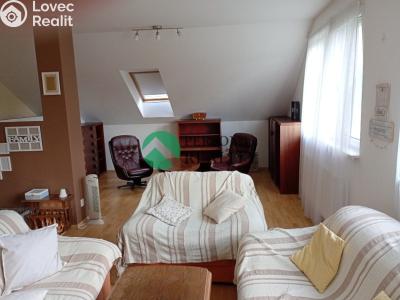 Rent apartment 2+1 Rabyně č. 2
