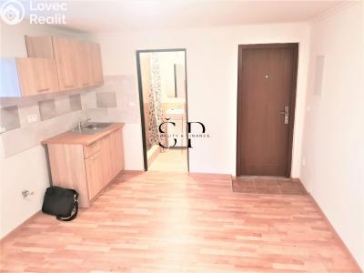 Rent apartment 1+KK Dražeň č. 1