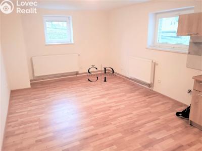 Rent apartment 1+KK Dražeň č. 2