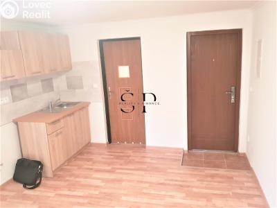 Rent apartment 1+KK Dražeň č. 3