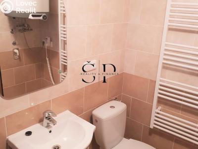 Rent apartment 1+KK Dražeň č. 4