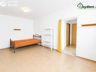 Продаж квартири 1+KK Plzeň, Říční č. 3