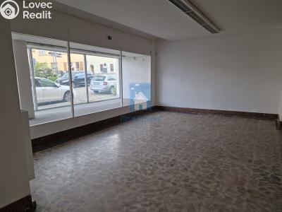 Pronájem skladového prostoru Domažlice, Husova třída č. 1