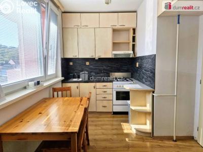 Rent apartment 1+1 Uherské Hradiště, Louky č. 3