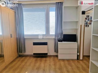 Rent apartment 1+1 Uherské Hradiště, Louky č. 5