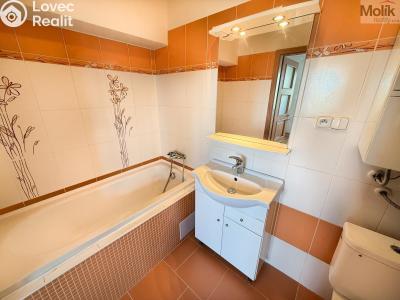 Prodej bytu 1+KK Litvínov, Podkrušnohorská 782 č. 10