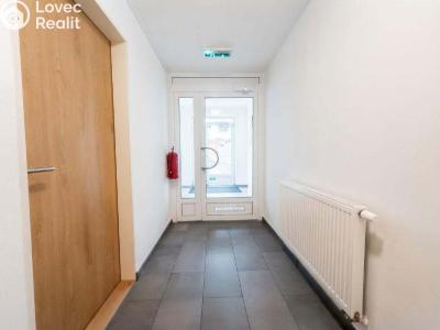 Pronájem bytu 3+KK Brno, Přírodní č. 14