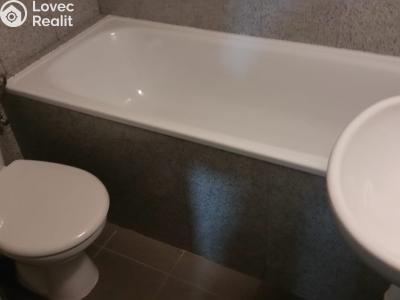 Rent apartment 1+KK Praha, Freyova č. 4