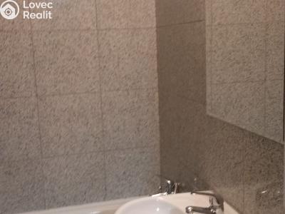 Rent apartment 1+KK Praha, Freyova č. 6
