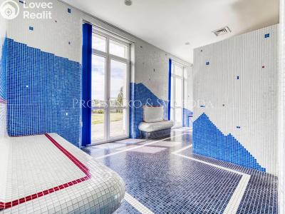 Prodej ubytovacího zařízení Rosovice č. 23