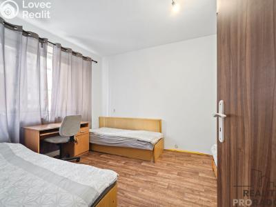 Rent room Sezemice č. 2