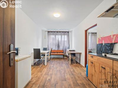 Rent room Sezemice č. 3