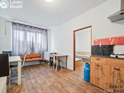 Rent room Sezemice č. 6