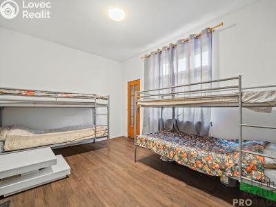 Rent room Sezemice č. 13