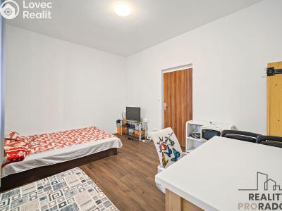 Rent room Sezemice č. 20