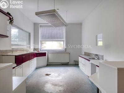 Sale villa Bechyně, Čechova č. 20