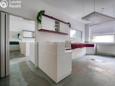 Sale villa Bechyně, Čechova č. 21