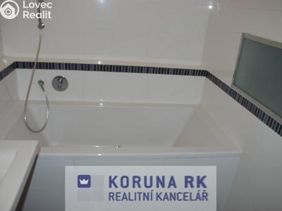 Оренда квартири 2+1 České Budějovice, J. Opletala č. 11
