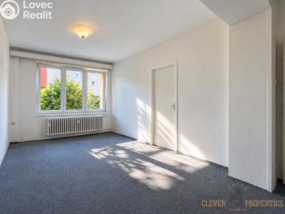Rent apartment 3+1 Pardubice, Družstevní č. 2