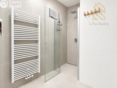 Rent apartment 3+KK Rudník č. 12