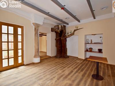 Prodej apartmánů Mladá Boleslav, Železná 31 č. 6
